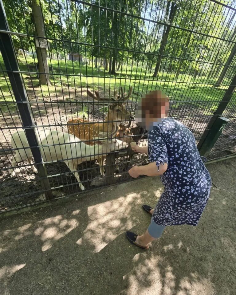 Tierbegegnung bei einem gemeinsamen Ausflug nach Sangerhausen